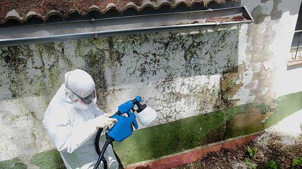 Mold Remediation service in Sherborn, Sherborn, MA